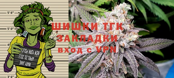 трава Инта