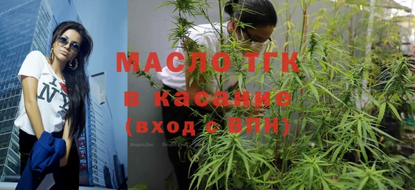 трава Инта