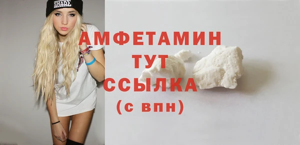 трава Инта
