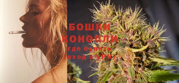 трава Инта