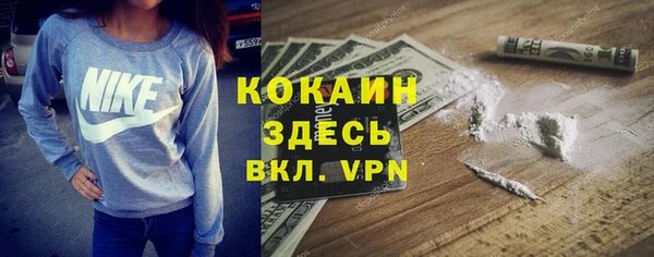 трава Инта