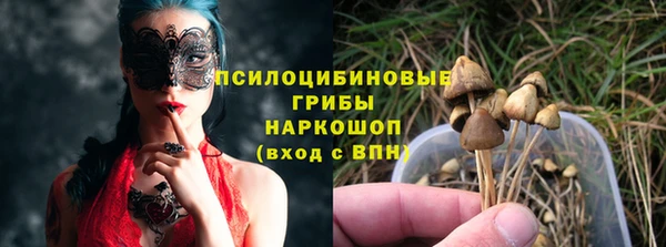 трава Инта