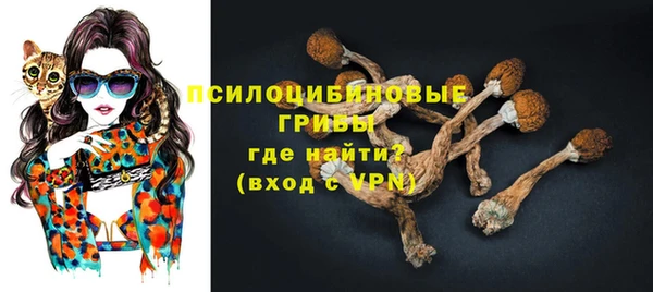 трава Инта
