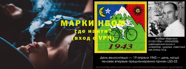трава Инта
